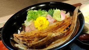 海鮮和食 魚魚魚