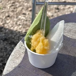 加藤牧場 バッフィ 日高本店