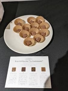 Éclat de Chocolat Louis Robuchon