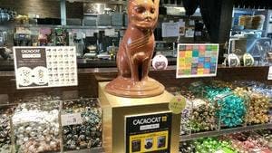 CACAOCAT 岡山青江店