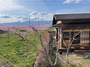 茶房あらい