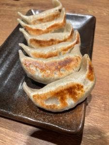 肉汁餃子のダンダダン 新宿東口店