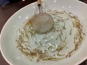 日本料理 とり市