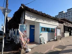 cafe wave snow