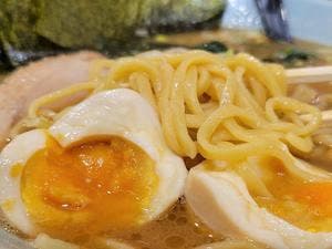 正統派横浜家系らーめん 金澤家