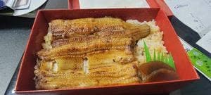 梅乃井