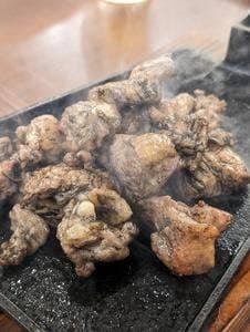 山内農場 八重洲