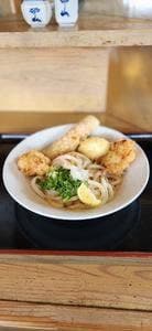 うつ輪