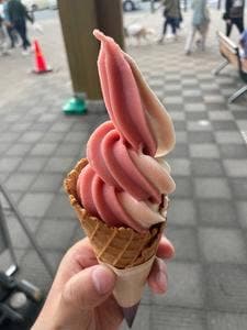 ミルク工房もりや