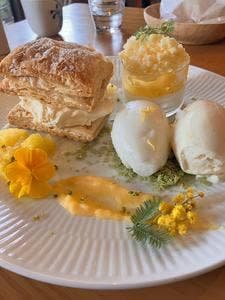 クッチーナ・サクラ