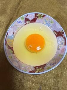 桑原鶏卵