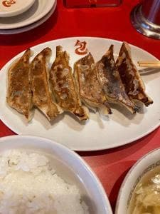 本格餃子 包