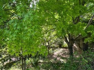 東谷山フルーツパーク くだもの館 売店