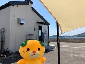 島うどん