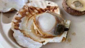 魚太郎 本店 浜焼きバーベキュー