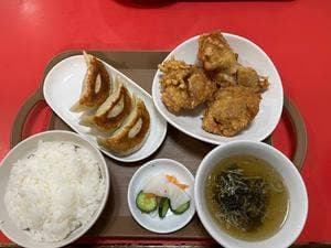 手作り餃子 康