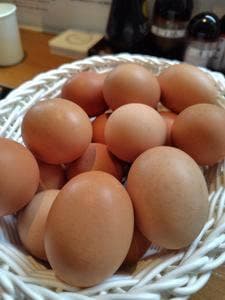 糸島ファームハウス UOVO