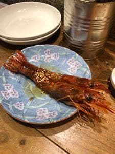 オリエンタル酒場 JILI