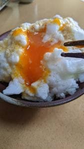 うみたてたまご 卵菓屋