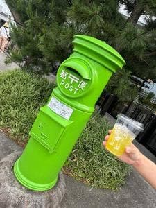 SHOP&GREEN TEA