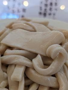 地粉うどん ヨーロッパ本店