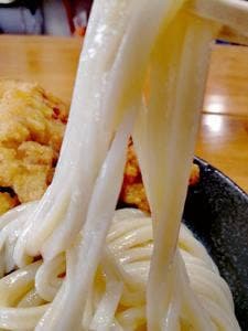 手打ちうどん かまや