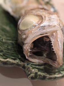 和食 こう太 御茶ノ水