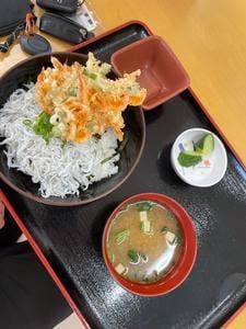 大井川港漁協直営食堂さくら