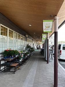 山県ばすけっと
