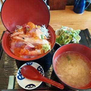 おさかないっぱい 福