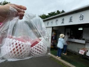 かつやま屋台 宮田