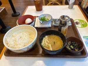 すき家 9号松江西津田店