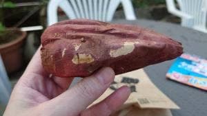 やきいも丸じゅん