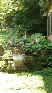 たぬき湯 食堂