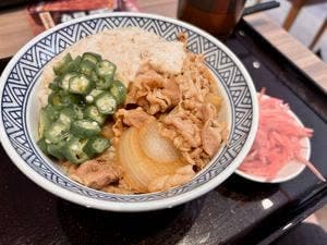 吉野家 170号線河内長野店