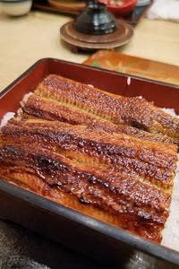 じろきん