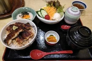 じろきん