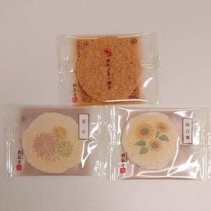 桂新堂 本店