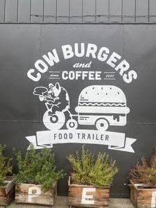 Cow Burgers