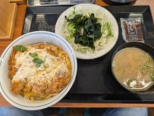 かつや 伊勢原店