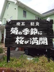 菊の季節に桜が満開