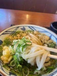 丸亀製麺 金沢八日市店