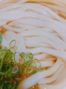讃岐うどん 坂丸商店