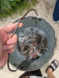 塩釜養魚センター