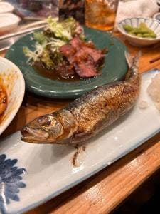 酒場 こころの