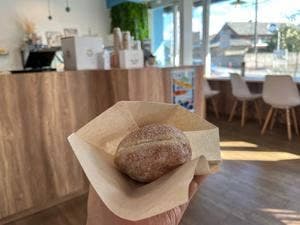 MOG MOG DONUT