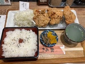 からあげ専門 きみ勢