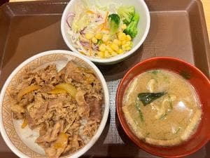 すき家 葉山木古庭店