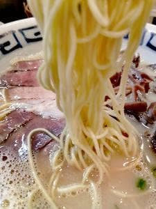 豚骨ラーメン だるま舎