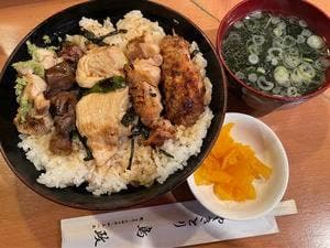 鳥政